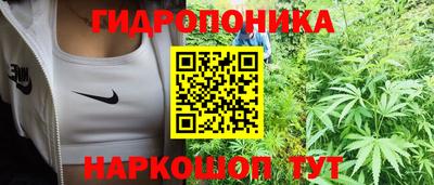 дмт Севастополь